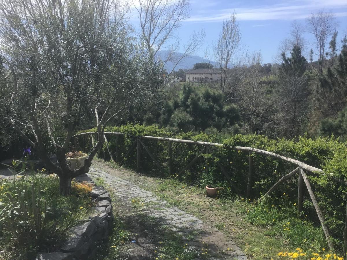 Tenuta Terradifuoco Terzigno Exteriér fotografie